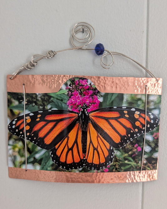 Nickel and Copper Picture Frame